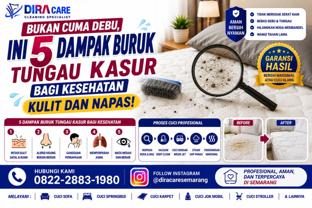 Bahaya Tungau Kasur dan Pentingnya Jasa Cuci Springbed Semarang