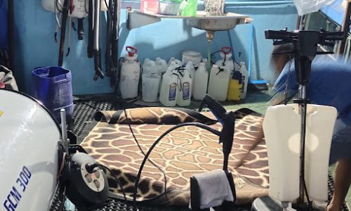 cuci karpet